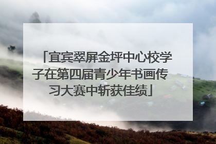 宜宾翠屏金坪中心校学子在第四届青少年书画传习大赛中斩获佳绩