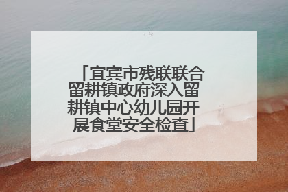 宜宾市残联联合留耕镇政府深入留耕镇中心幼儿园开展食堂安全检查