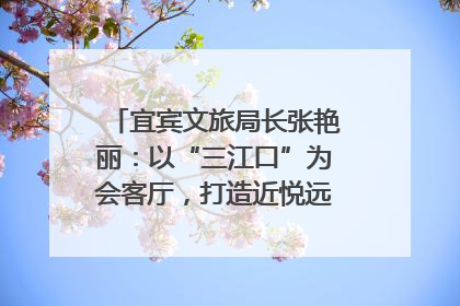 宜宾文旅局长张艳丽：以“三江口”为会客厅，打造近悦远来的国际旅游城市｜文旅局长说