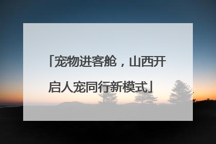宠物进客舱，山西开启人宠同行新模式
