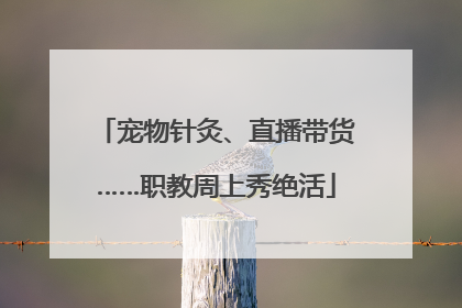 宠物针灸、直播带货……职教周上秀绝活