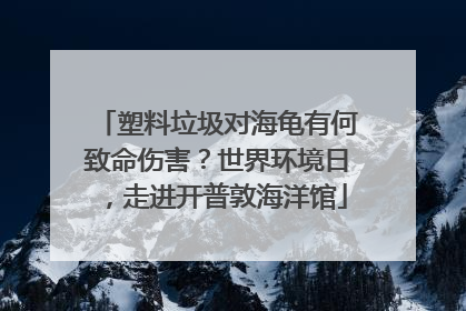 塑料垃圾对海龟有何致命伤害？世界环境日，走进开普敦海洋馆