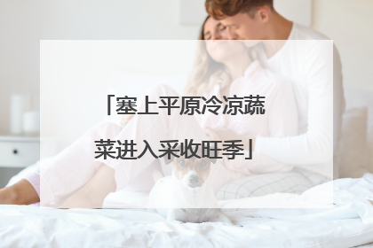 塞上平原冷凉蔬菜进入采收旺季