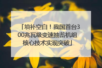 填补空白！我国首台300兆瓦级变速抽蓄机组核心技术实现突破