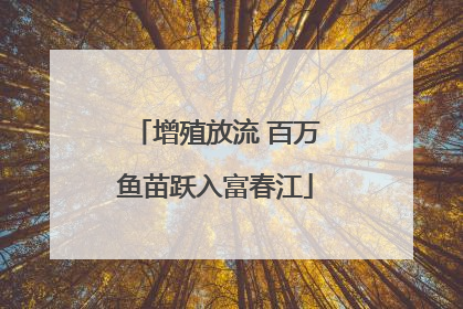 增殖放流 百万鱼苗跃入富春江