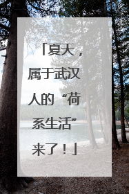 夏天，属于武汉人的“荷系生活”来了！
