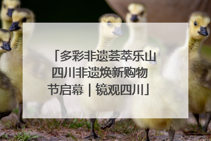 多彩非遗荟萃乐山 四川非遗焕新购物节启幕｜镜观四川