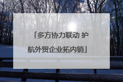 多方协力联动 护航外贸企业拓内销