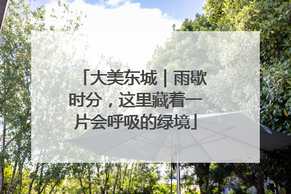 大美东城｜雨歇时分，这里藏着一片会呼吸的绿境