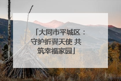 大同市平城区：守护折翼天使 共筑幸福家园