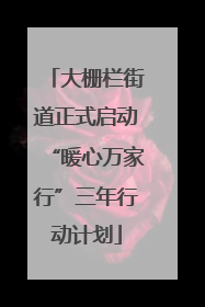 大栅栏街道正式启动“暖心万家行”三年行动计划