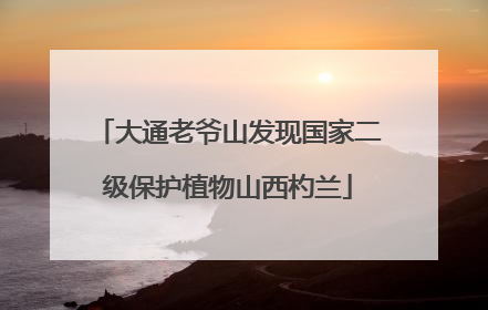大通老爷山发现国家二级保护植物山西杓兰