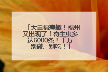大量福寿螺！福州又出现了！寄生虫多达6000条！千万别碰、别吃！