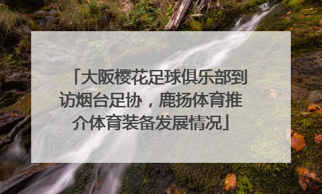 大阪樱花足球俱乐部到访烟台足协，鹿扬体育推介体育装备发展情况
