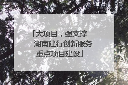 大项目，强支撑——湖南建行创新服务重点项目建设