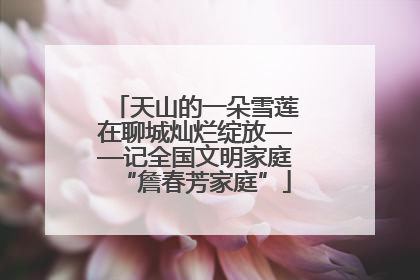 天山的一朵雪莲在聊城灿烂绽放——记全国文明家庭“詹春芳家庭”