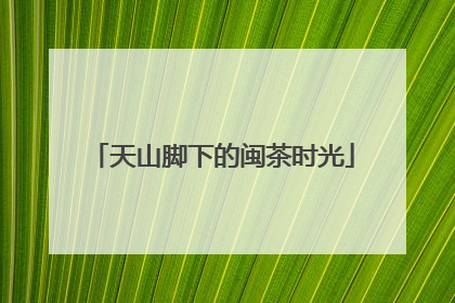 天山脚下的闽茶时光