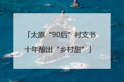 太原“90后”村支书十年酿出“乡村甜”