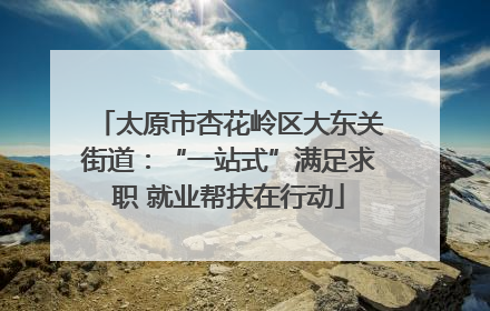 太原市杏花岭区大东关街道：“一站式”满足求职 就业帮扶在行动