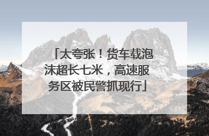 太夸张！货车载泡沫超长七米，高速服务区被民警抓现行