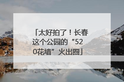 太好拍了！长春这个公园的“520花墙”火出圈