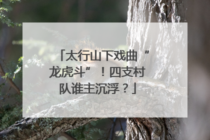 太行山下戏曲“龙虎斗”！四支村队谁主沉浮？