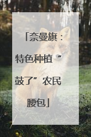 奈曼旗：特色种植“鼓了”农民腰包
