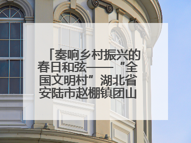 奏响乡村振兴的春日和弦——“全国文明村”湖北省安陆市赵棚镇团山村农文旅融合发展见闻