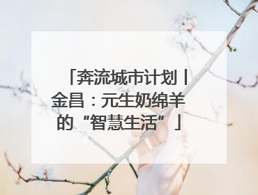奔流城市计划丨金昌：元生奶绵羊的“智慧生活”