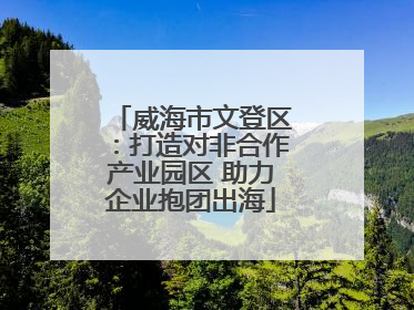 威海市文登区：打造对非合作产业园区 助力企业抱团出海