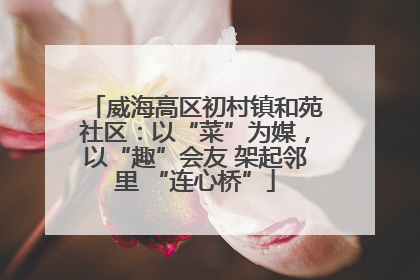 威海高区初村镇和苑社区：以“菜”为媒，以“趣”会友 架起邻里 “连心桥”