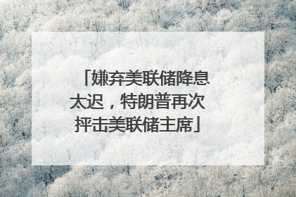 嫌弃美联储降息太迟，特朗普再次抨击美联储主席