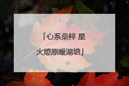 心系桑梓 星火燎原暖湖塘