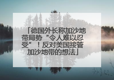 德国外长称加沙地带局势“令人难以忍受”！反对美国接管加沙地带的想法