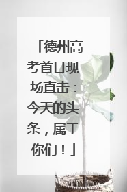 德州高考首日现场直击：今天的头条，属于你们！