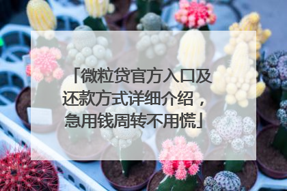 微粒贷官方入口及还款方式详细介绍，急用钱周转不用慌