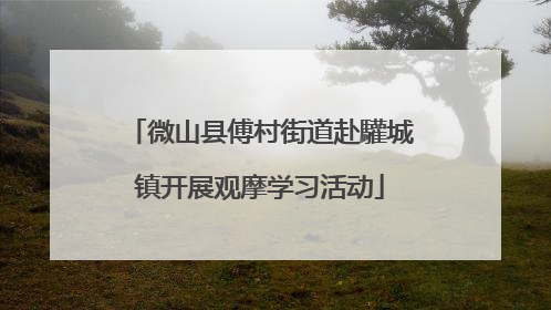 微山县傅村街道赴驩城镇开展观摩学习活动
