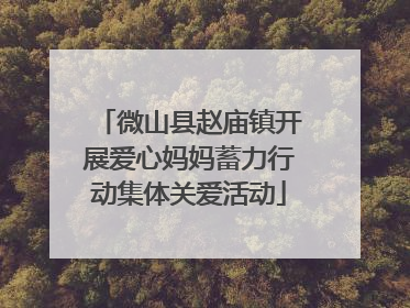 微山县赵庙镇开展爱心妈妈蓄力行动集体关爱活动