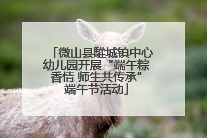 微山县驩城镇中心幼儿园开展“端午粽香情 师生共传承”端午节活动