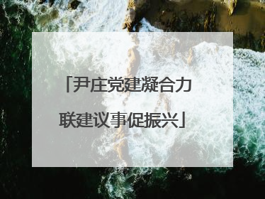 尹庄党建凝合力 联建议事促振兴