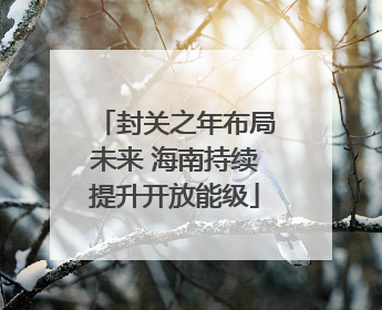 封关之年布局未来 海南持续提升开放能级
