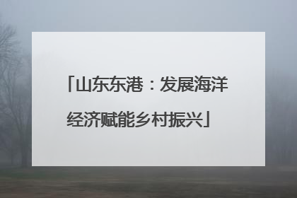 山东东港：发展海洋经济赋能乡村振兴