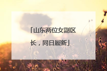 山东两位女副区长，同日履新