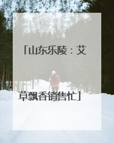 山东乐陵：艾草飘香销售忙