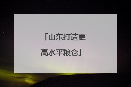 山东打造更高水平粮仓