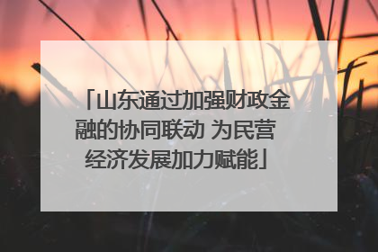 山东通过加强财政金融的协同联动 为民营经济发展加力赋能