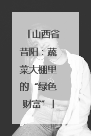 山西省昔阳：蔬菜大棚里的“绿色财富”