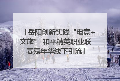 岳阳创新实践“电竞+文旅” 和平精英职业联赛嘉年华线下引流