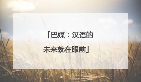 巴媒：汉语的未来就在眼前