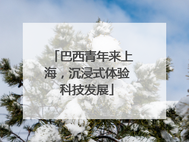 巴西青年来上海，沉浸式体验科技发展